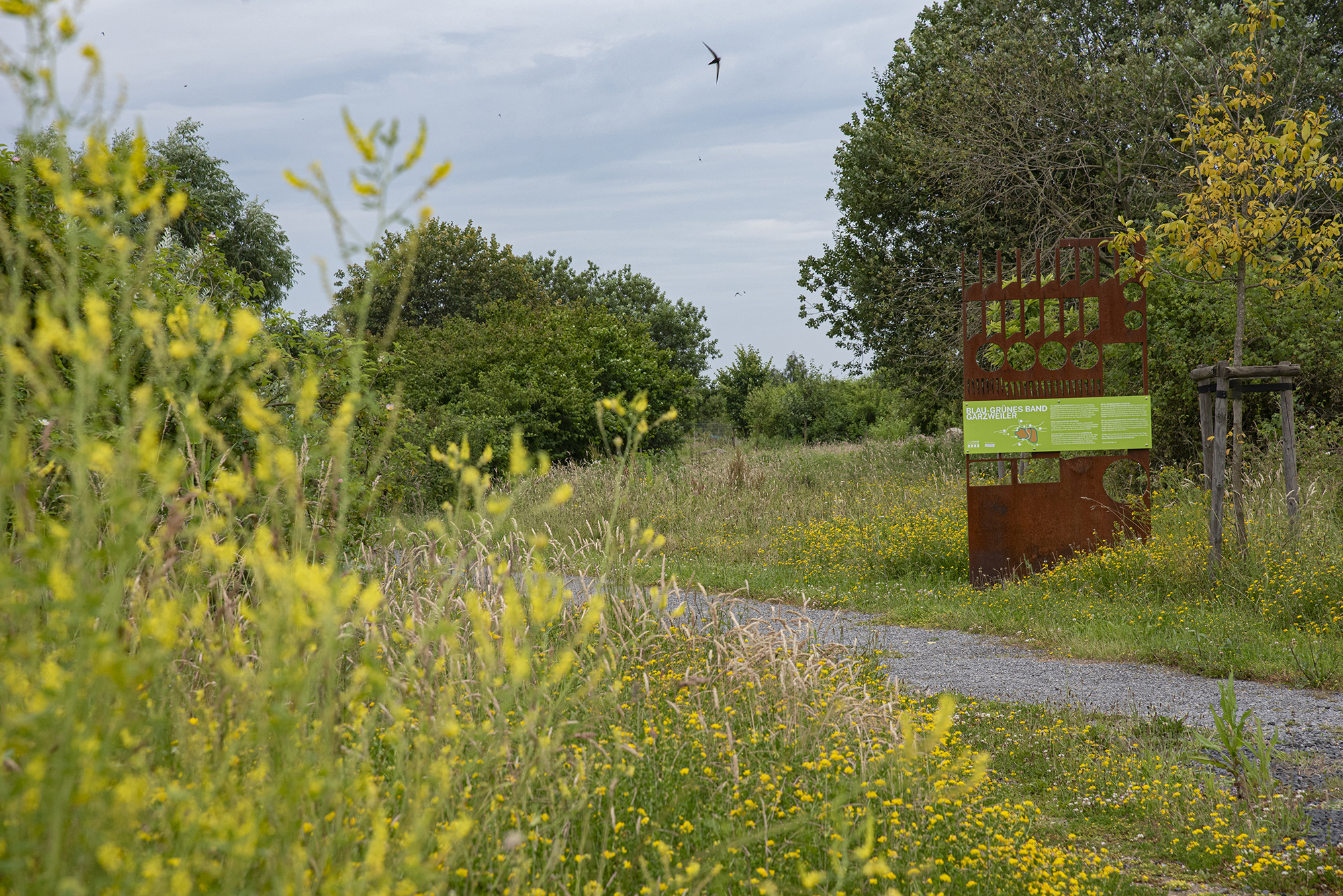 Kurzfristige Terminänderung: Workshop in Holzweiler zum Blau-Grünen Band Garzweiler